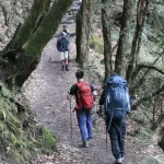 Annapurna-Base-Camp-trek