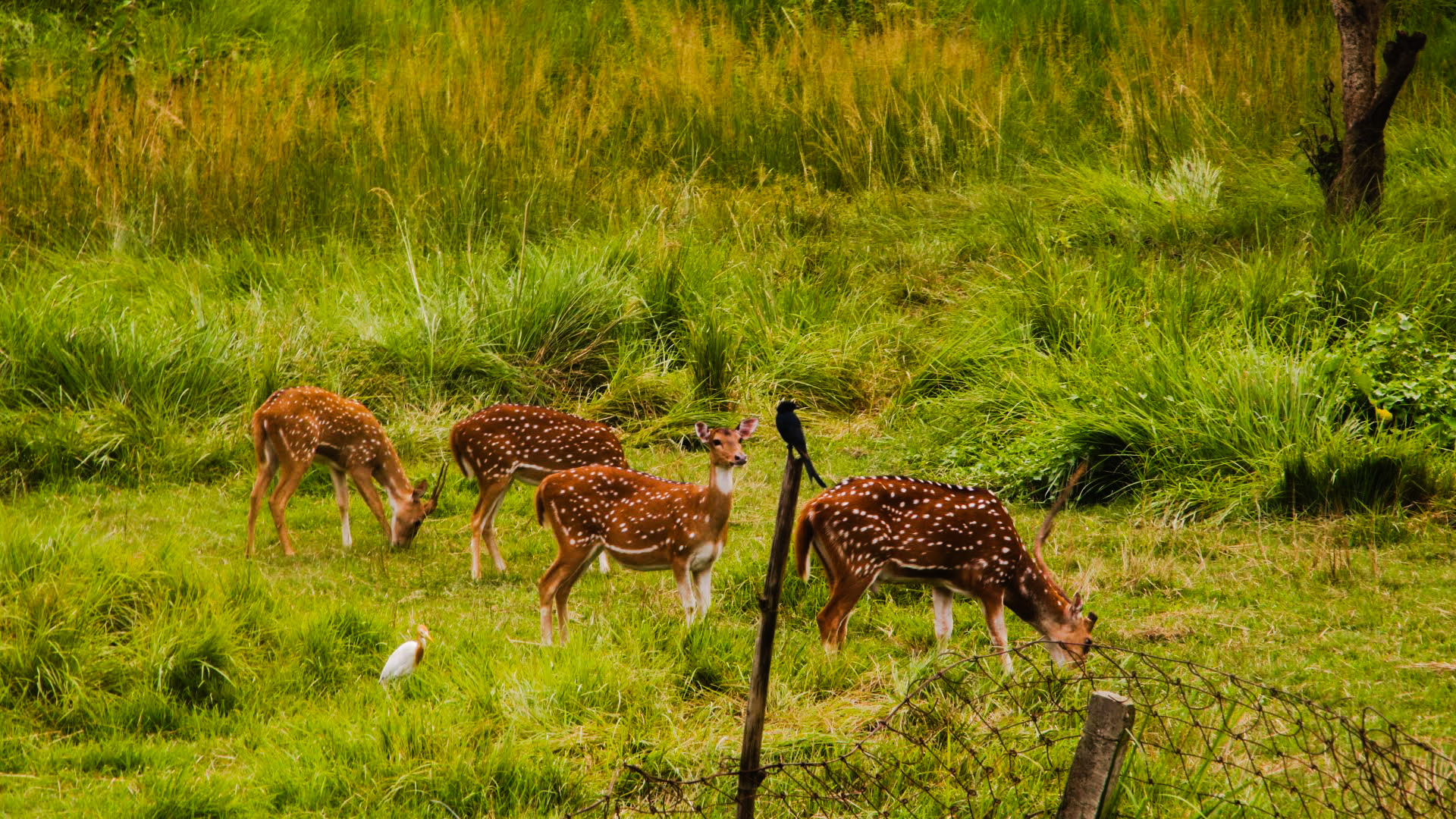 10 Best Short Tours In Nepal