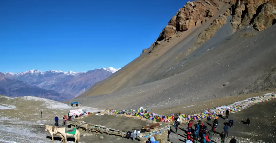 Chulu East Peak Climb With Thorang-La Pass Trek
