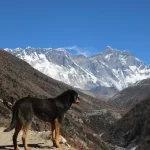 Everest-base-camp-trek