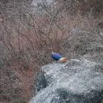 Everest Base Camp Trek