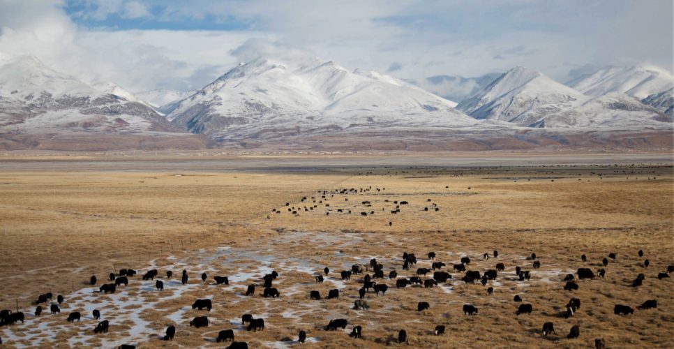 Tibetan Journey Overland