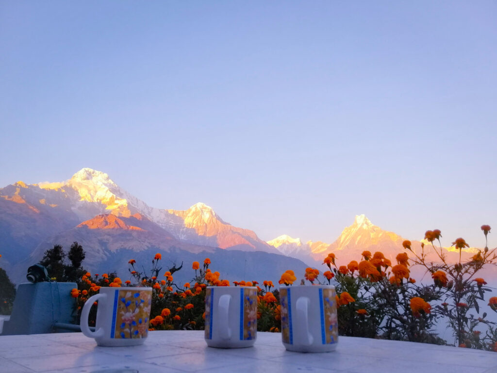 Mountain View From Tea House