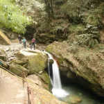 Ghorepani Poon Hill trek