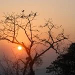 Ghorepani Poon Hill trek