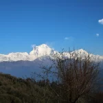 Ghorepani Poon Hill trek