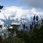 Khopra Ridge Community Trek