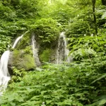 Khopra Ridge Community Trek