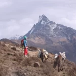 Mardi Himal Trek