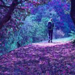 Nature around Himalayas of Nepal