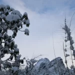 Short Annapurna Base Camp Trek.