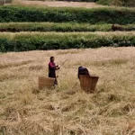 Manaslu-Circuit-Trek