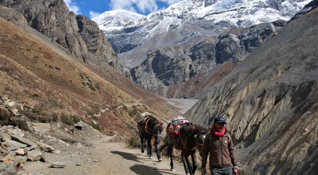 Annapurna base camp versus Annapurna Circuit trek