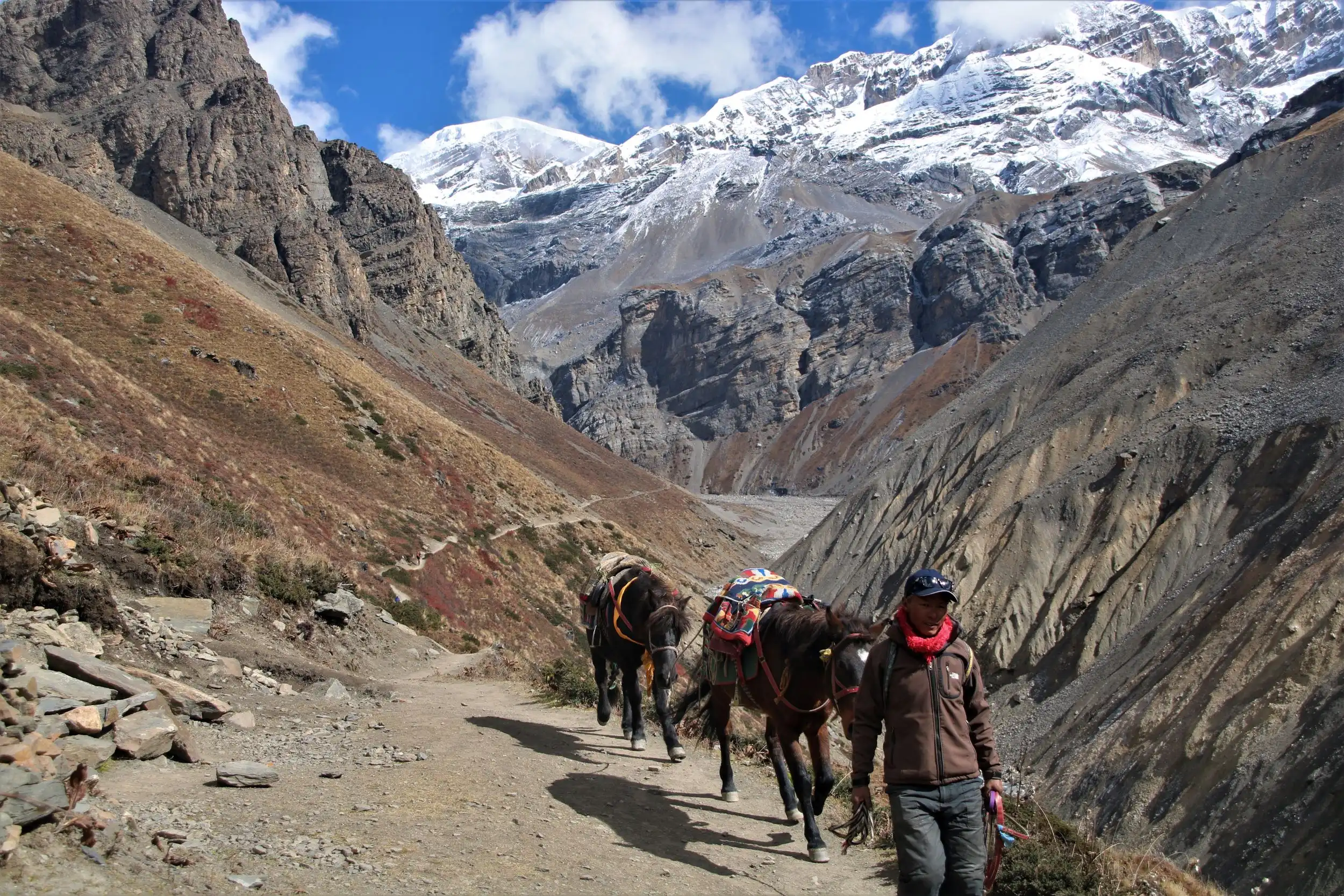 Annapurna base camp versus Annapurna circuit