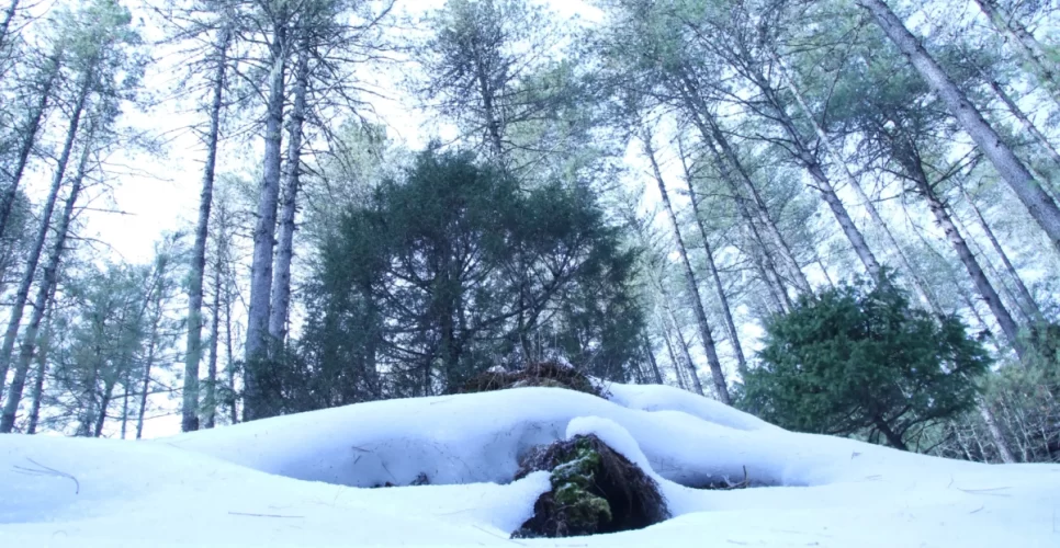 Journey To Rara Lake