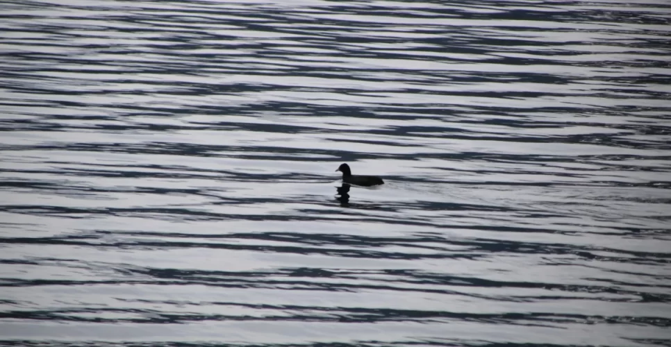 Journey To Rara Lake