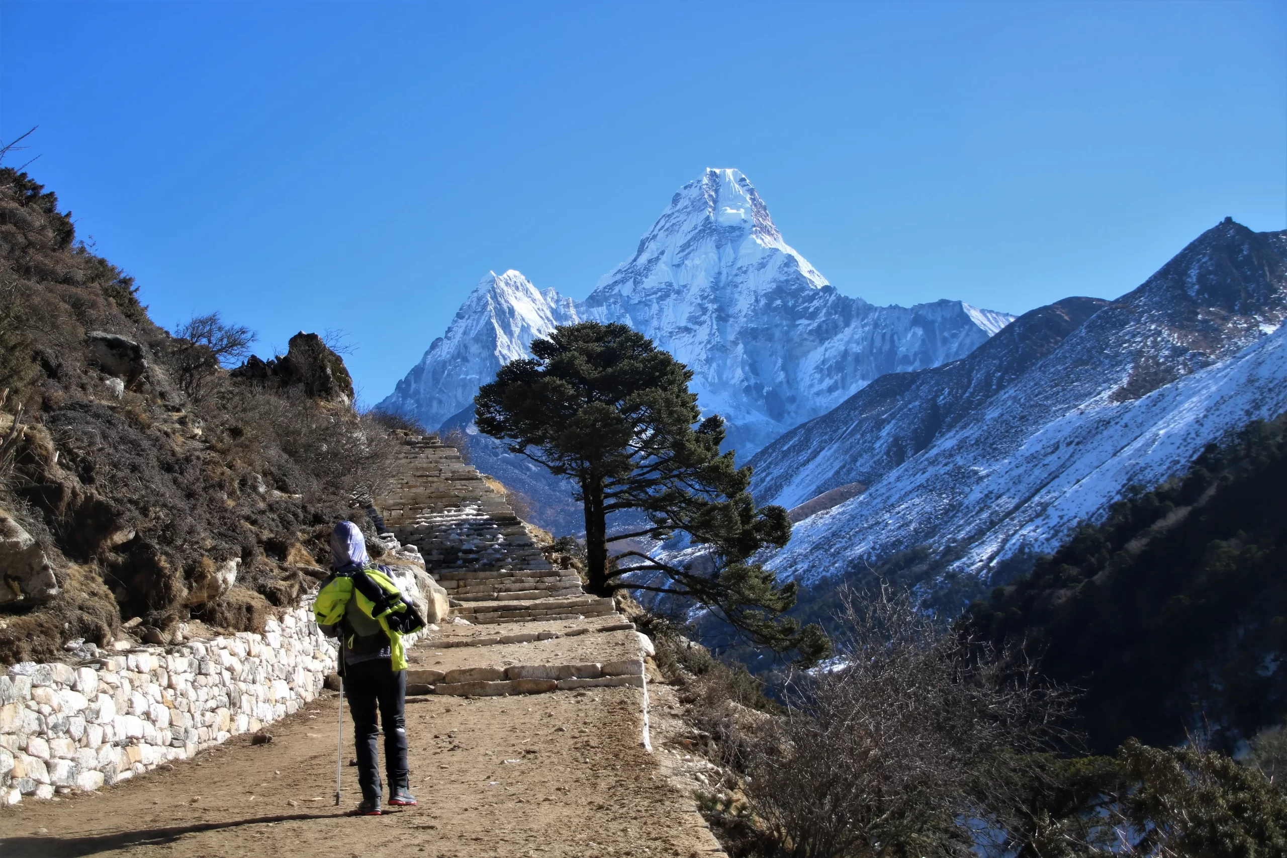 Cholatse Peak & CHola Tso Lake