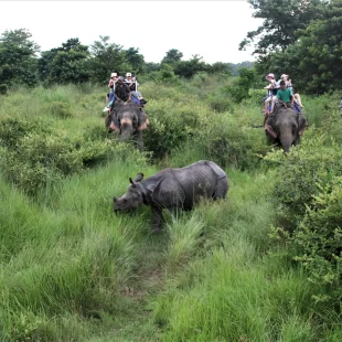Bardiya National Park with Annapurna tour