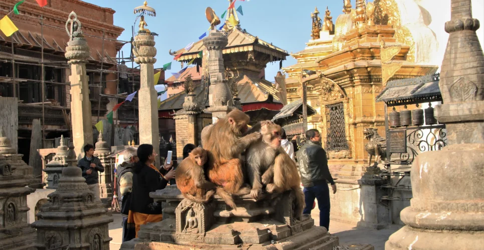 Pilgrimage tour in Nepal