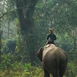 Elephant Safari In Chitwan