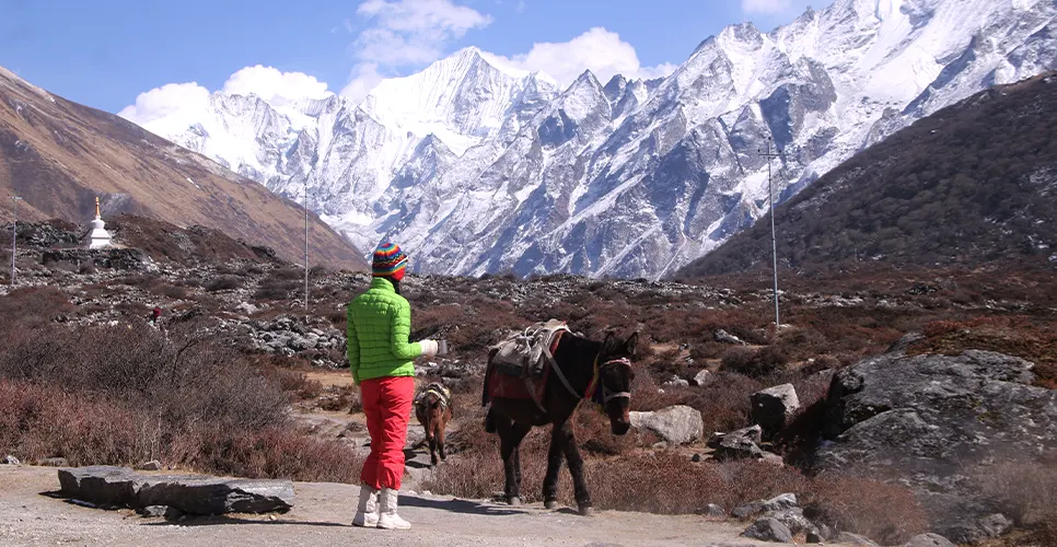 Near Kyanjin Gompa during Langtang Valley Trek