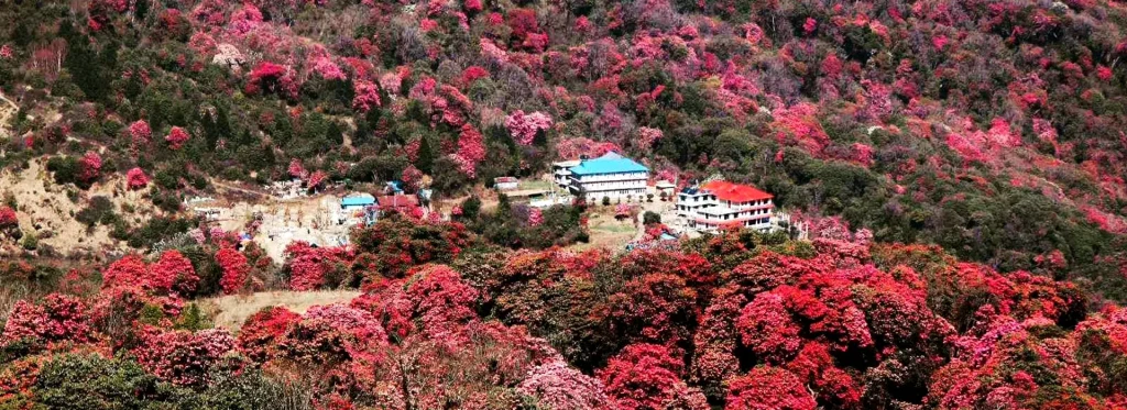 Ghorepani Poon Hill Trek Photo