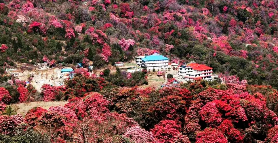 Ghorepani Poon Hill Trek Photo